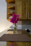 Bugambilias Suites