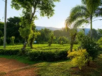 Aura Hilltop Matale
