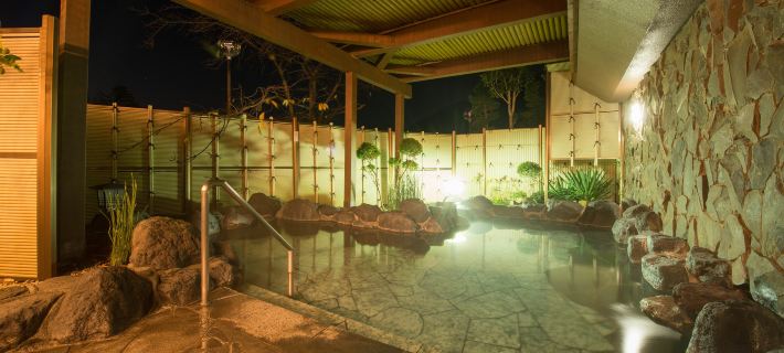 Hakone Reinanso Hotels in Ashigarashimo District