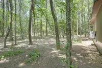 Woodsy Cabot Escape in Arkansas Countryside! - 4-stjärniga