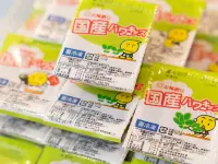 Hotel Sun Royal Oyama