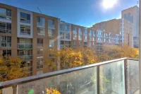 The Downtown Zando - 3 Yıldız