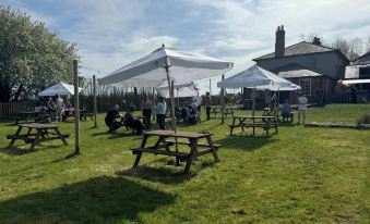 Pewsey Countryside Dome - Dog Friendly - Fire pit
