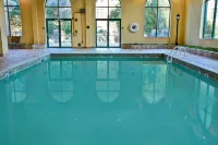Embassy Suites by Hilton Montgomery Hotel & Conference Center - Pool