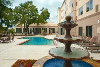 Hilton Garden Inn DFW Airport South - Swimmingpools