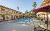 Red Roof Inn Tampa Bay - St. Petersburg - Moteles