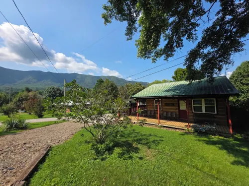 Authentic Cabin 5 Miles to Gsmnp & Cades Cove. Great Views. Easy Roads & Access - 木屋
