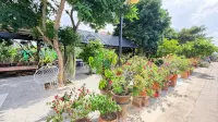 The Moonlight Resort - Homestays