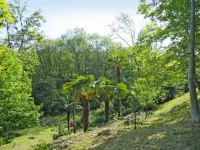 Casa Nel Bosco - 3-Star