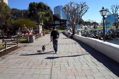 Surroundings #1 Location - Fast Wifi - Work Area - 2Br/2.5 Bath - Free Parking (FV1) Photo