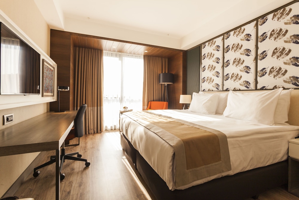 Holiday Inn Kayseri - Duvenonu (Holiday Inn Kayseri - Duvenonu, an Ihg Hotel)