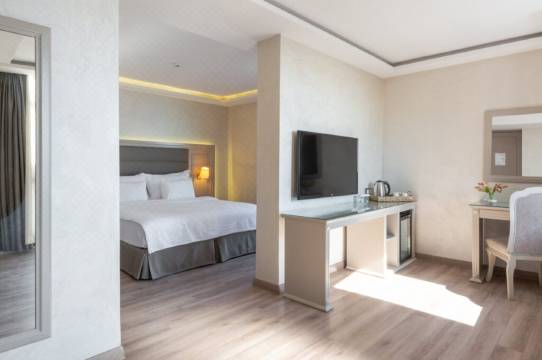 Antik Hotel Istanbul-Istanbul Updated 2022 Room Price-Reviews & Deals |  Trip.com