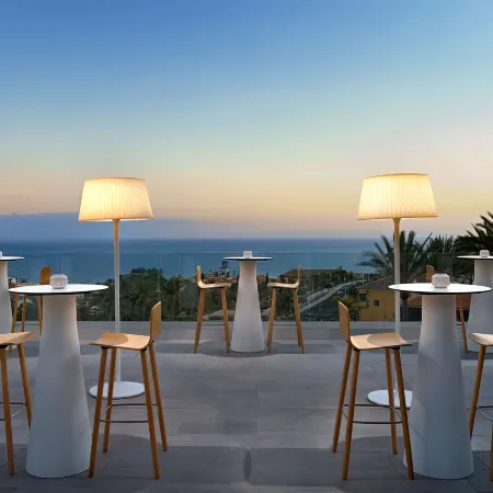 Melia Jardines Del Teide