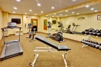 Holiday Inn Express & Suites BYRAM by IHG - Gym