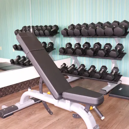 Holiday Inn Express & Suites CLEARWATER/US 19 N by IHG
