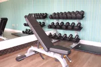 Holiday Inn Express & Suites CLEARWATER/US 19 N by IHG - Gym