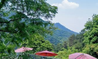 qingxigu