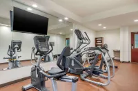 Comfort Inn Lenoir City-Knoxville - Gym