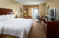 Hilton Garden Inn San Diego Del Mar Hotels near SEPHORA