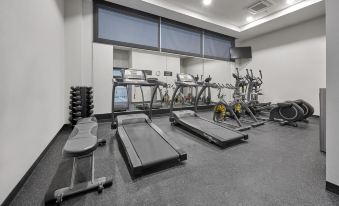 a well - equipped gym with various exercise equipment , including treadmills and stationary bikes , arranged in rows at City Express by Marriott Cdmx la Villa