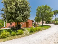 Francigena