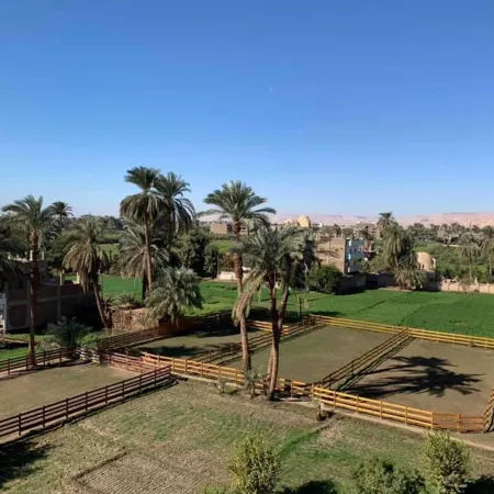 Cleopatra Hotel Luxor