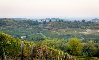 a beautiful landscape of vineyards and orchards , with rows of grape vines in the foreground at Hotel Monteverde