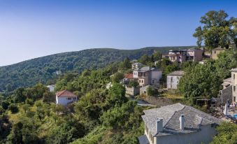 a picturesque mountain village with traditional houses nestled on the hillside , surrounded by lush greenery at Hotel Petradi