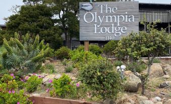 The Olympia Lodge