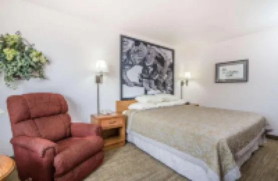 霍姆斯特德套房酒店 大角縣酒店