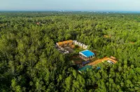 Paradise Auro Jungle Resort