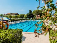 Trilo Garden - piscina