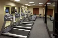 Hilton Garden Inn Sioux Falls South - Gym