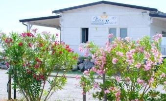 "a small white building with a sign that reads "" oreas island "" is surrounded by pink flowers and greenery" at Hotel Felix
