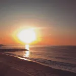 Hotel Cetus Royal - Beach