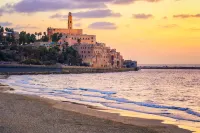 Jojo TLV