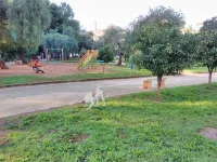 120 Rodionoff B&B - Connection with Airport and Mondello Beach