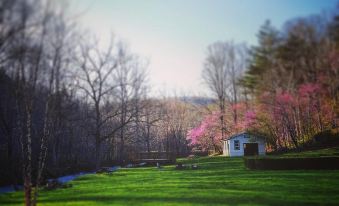 a serene landscape with a white house nestled in the woods , surrounded by trees and grass at The Mountain Rose Inn