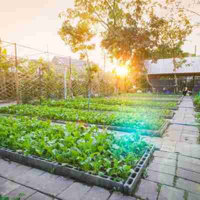 ラッタナーパーク ホテル Hotel Exterior