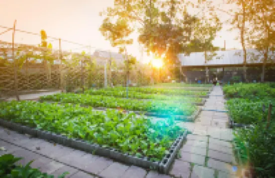 โรงแรมรัตนา ปาร์ค โรงแรมใกล้วัดอรัญญิก พิษณุโลก