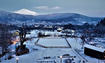 Torrhebia Dag Evi