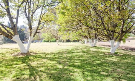 Hotel San Ramon - Housity