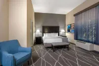 La Quinta Inn & Suites by Wyndham Houston Energy Corridor Hotels near Lion Square