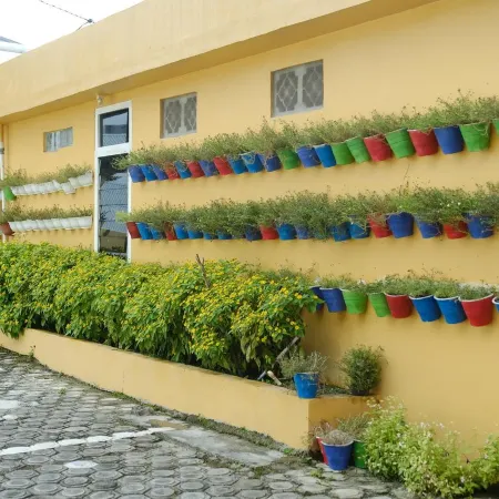 Joyful Hotel