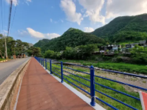 尋找花之染料旅館