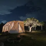 Mars Glam Camp