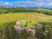 Fattoria Petraglia - Loggiato - 駐車場