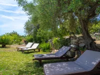 Sa Coma Caimari Hotels in Caimari