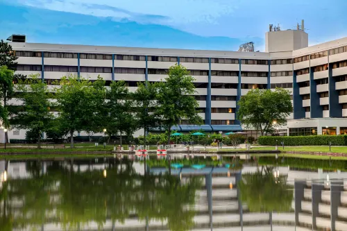 DoubleTree Suites by Hilton Raleigh - Durham - bar