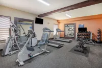 Hampton Inn Collinsville - Gym